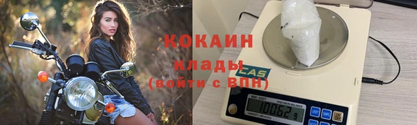 прущие грибы Карпинск