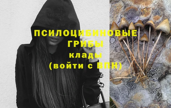 прущие грибы Карпинск