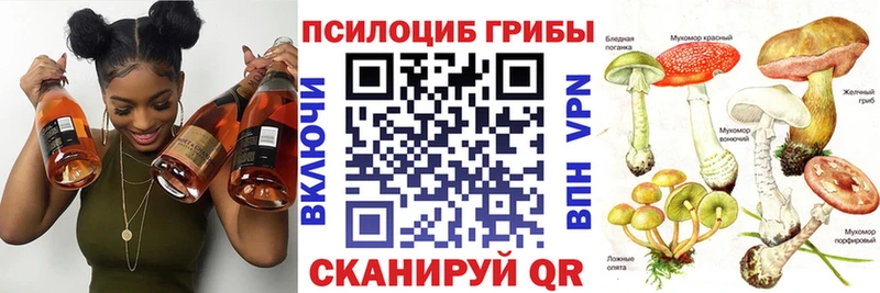Псилоцибиновые грибы Psilocybine cubensis  Княгинино 